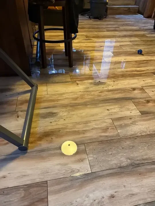 Standing water spread across a wood-look floor after a leak