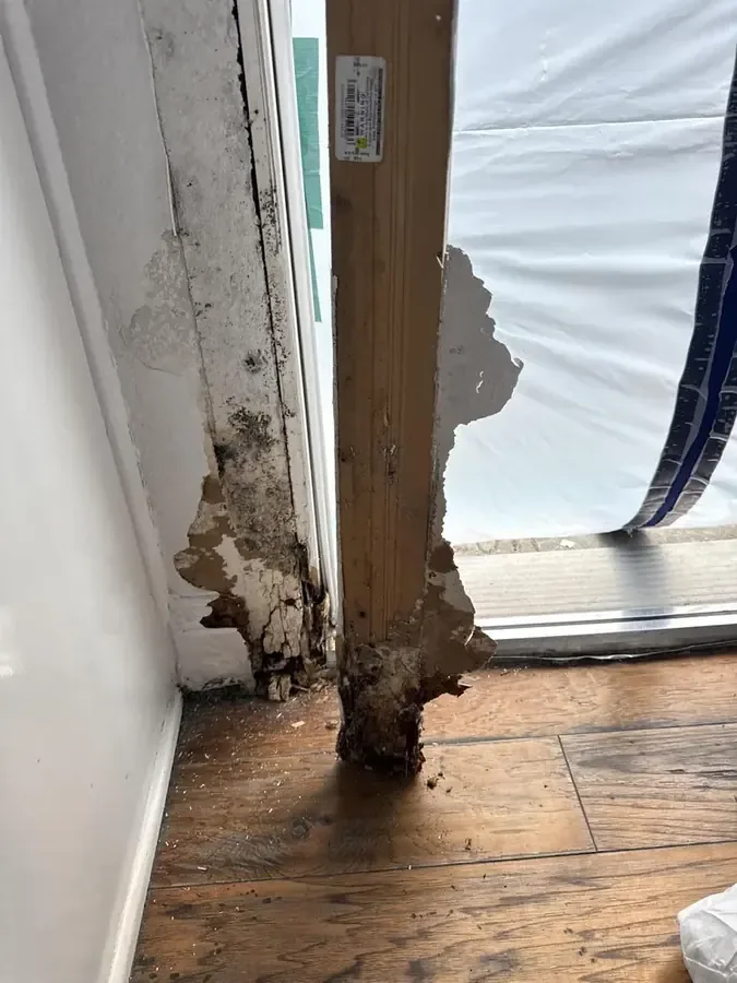 Water damaged wall framing exposed after the drywall came out